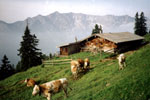 Berghütte 